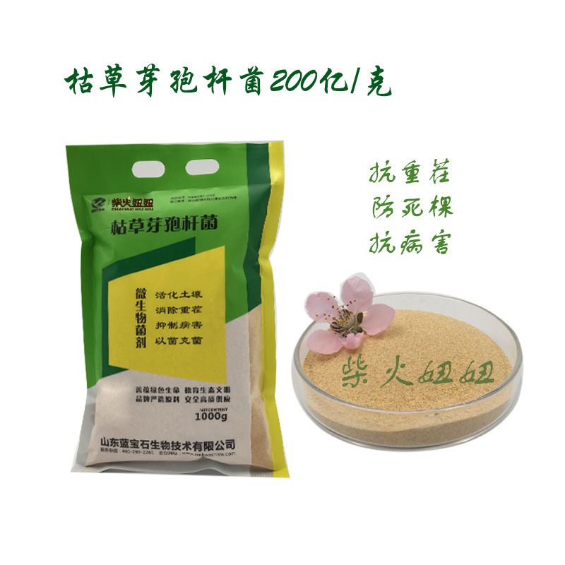 枯草芽孢杆菌